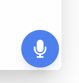 Voice Input Feature